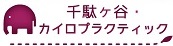 頭痛, 馘こり, 肩こり, 女性専用, カイロプラクティック, 頭蓋骨調整, 千駄ヶ谷, 北参道